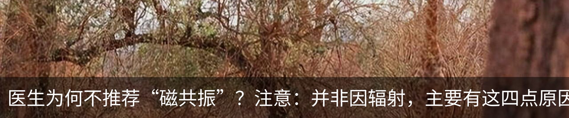 资讯动态